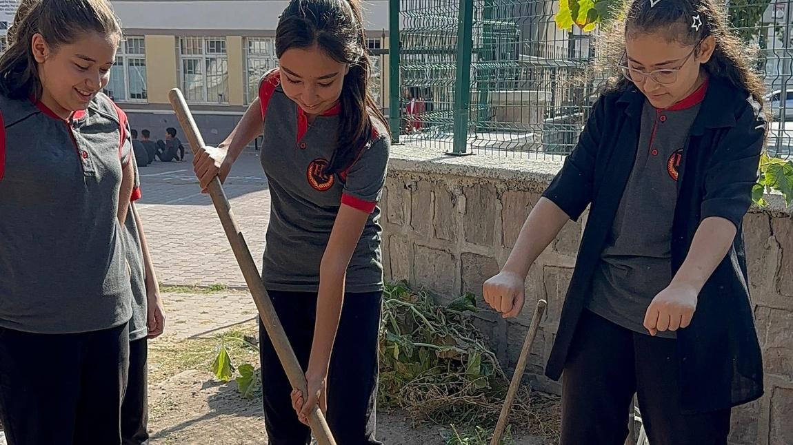 Yeşil Vatan